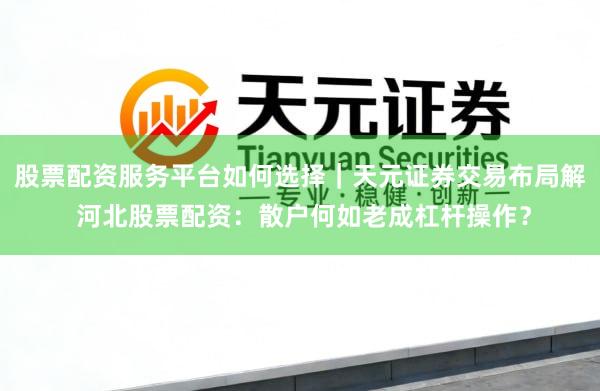 股票配资服务平台如何选择｜天元证券交易布局解 河北股票配资：散户何如老成杠杆操作？